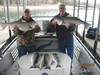 (04/01/2014) - Nice Striped Bass